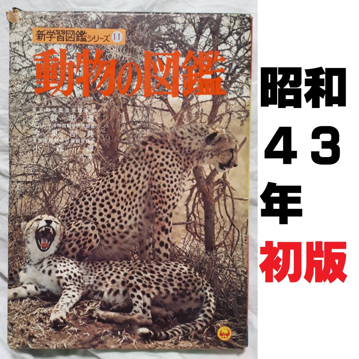 小学館の新学習図鑑シリーズ11「動物の図鑑」 昭和48年初版第1刷/昭和