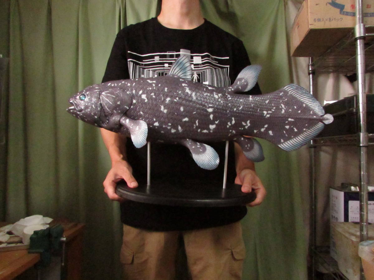Yahoo!オークション - ハンドメイド 61cmシーラカンス フィギュア