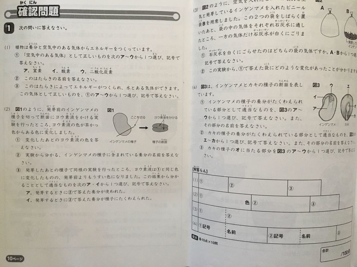 2019年度 サピックス 小学4年 理科｜Yahoo!フリマ（旧PayPayフリマ）