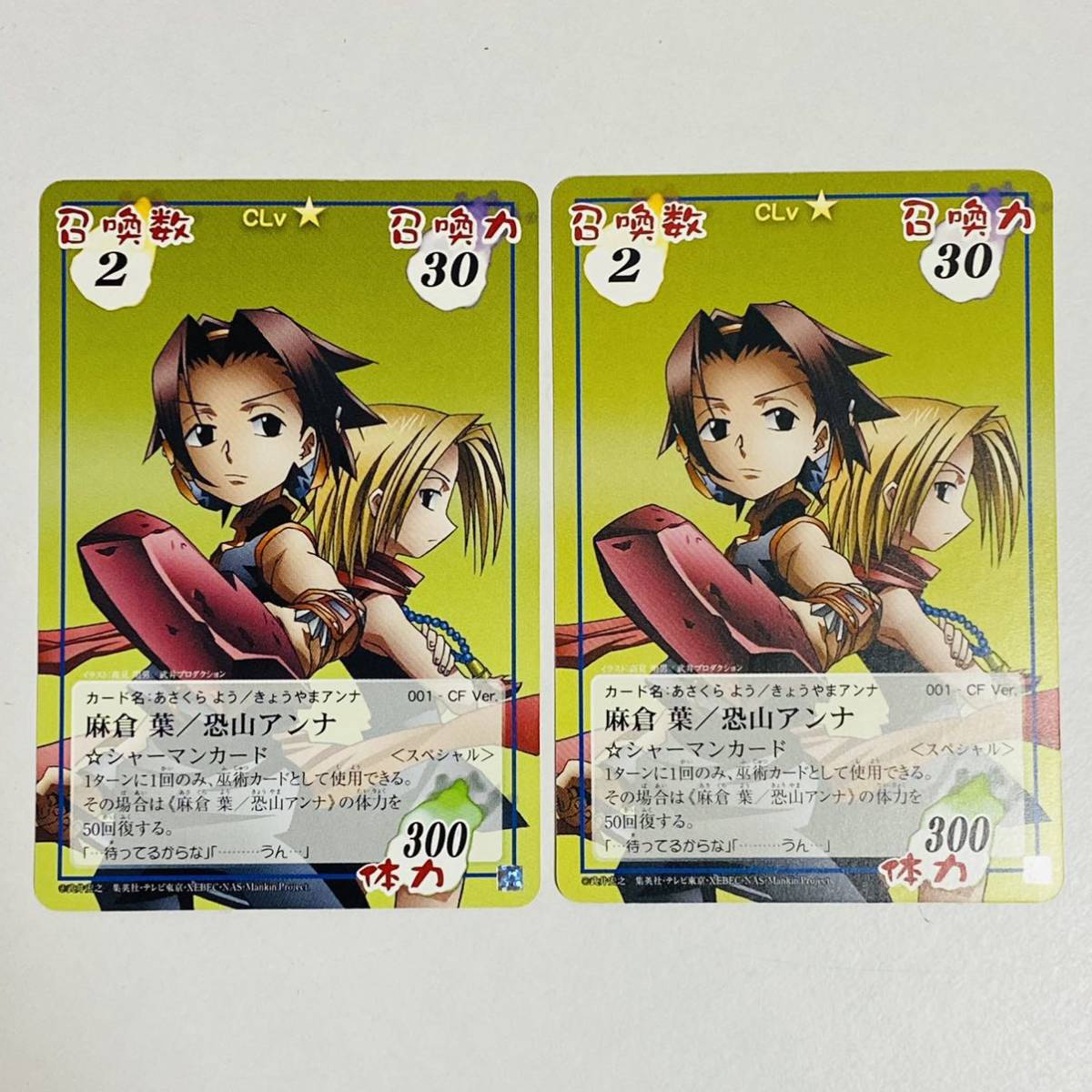 シャーマンキング 超・占事略決 カード デッキ シャーマンキング 超占