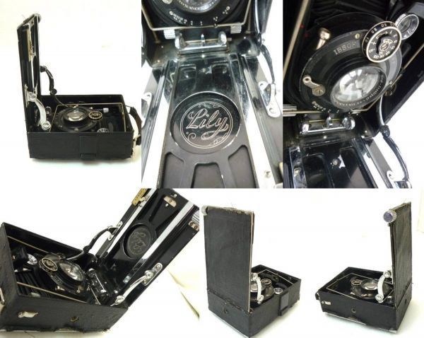 Yahoo!オークション - 激レア 六櫻社 小西六 Rokuoh-sha Lily リリー