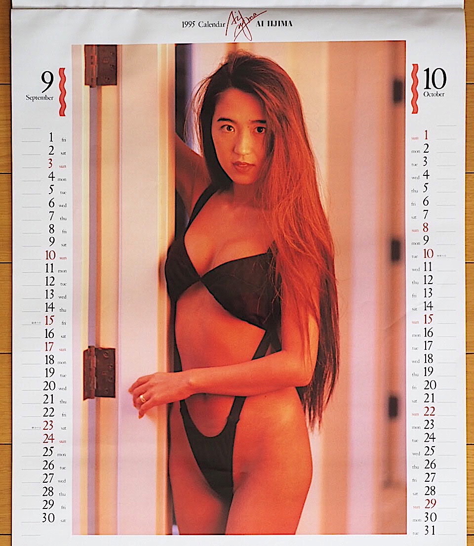 1995年 飯島愛 カレンダー 未使用保管品(芸能人、タレント)｜売買され