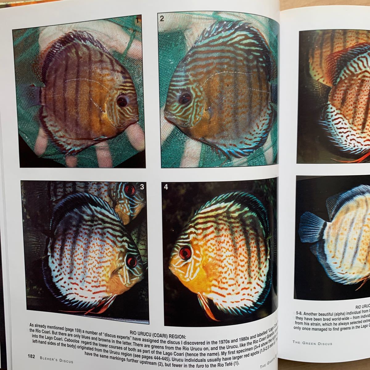 Bleher's Discus 1・2巻セット ディスカス Bleher's Discus 1・2巻