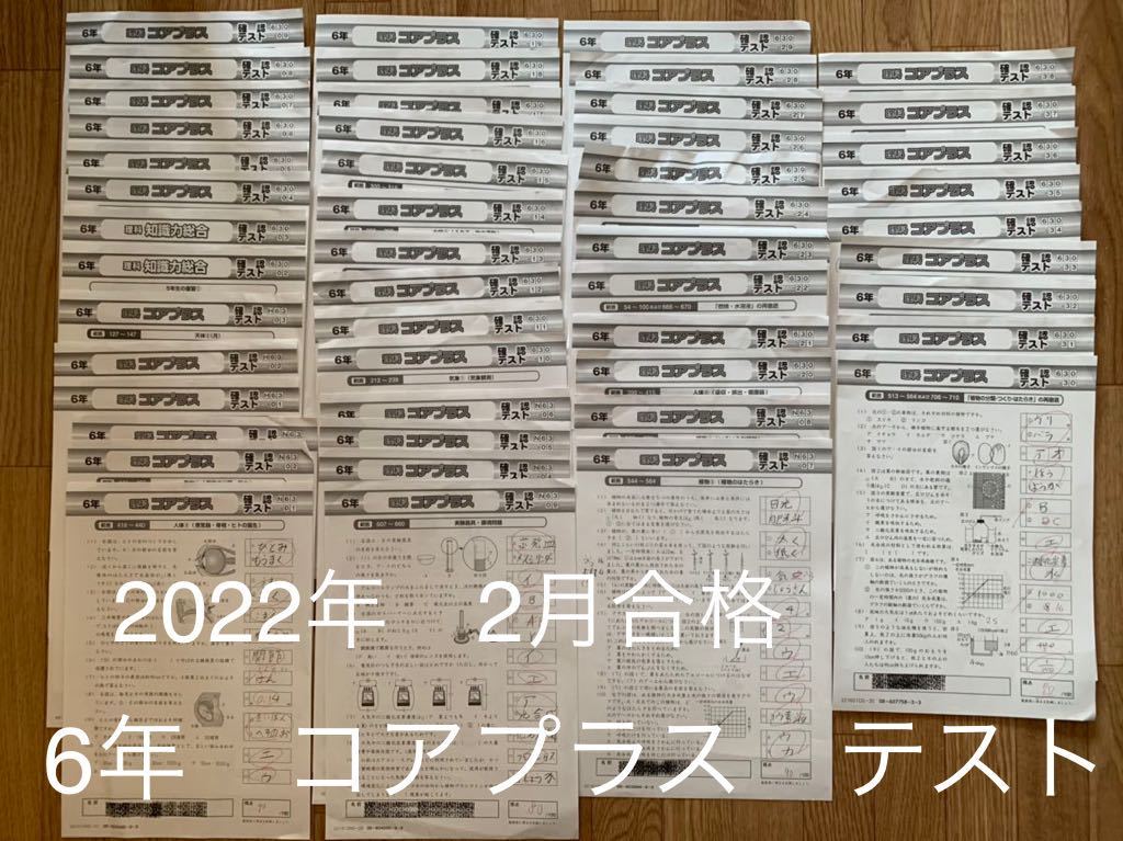 Yahoo!オークション - SAPIX サピックス 6年 理科 コアプラス 確認テス