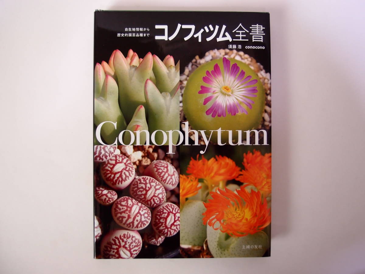 Yahoo!オークション - 主婦の友社 コノフィツム全書 須藤浩