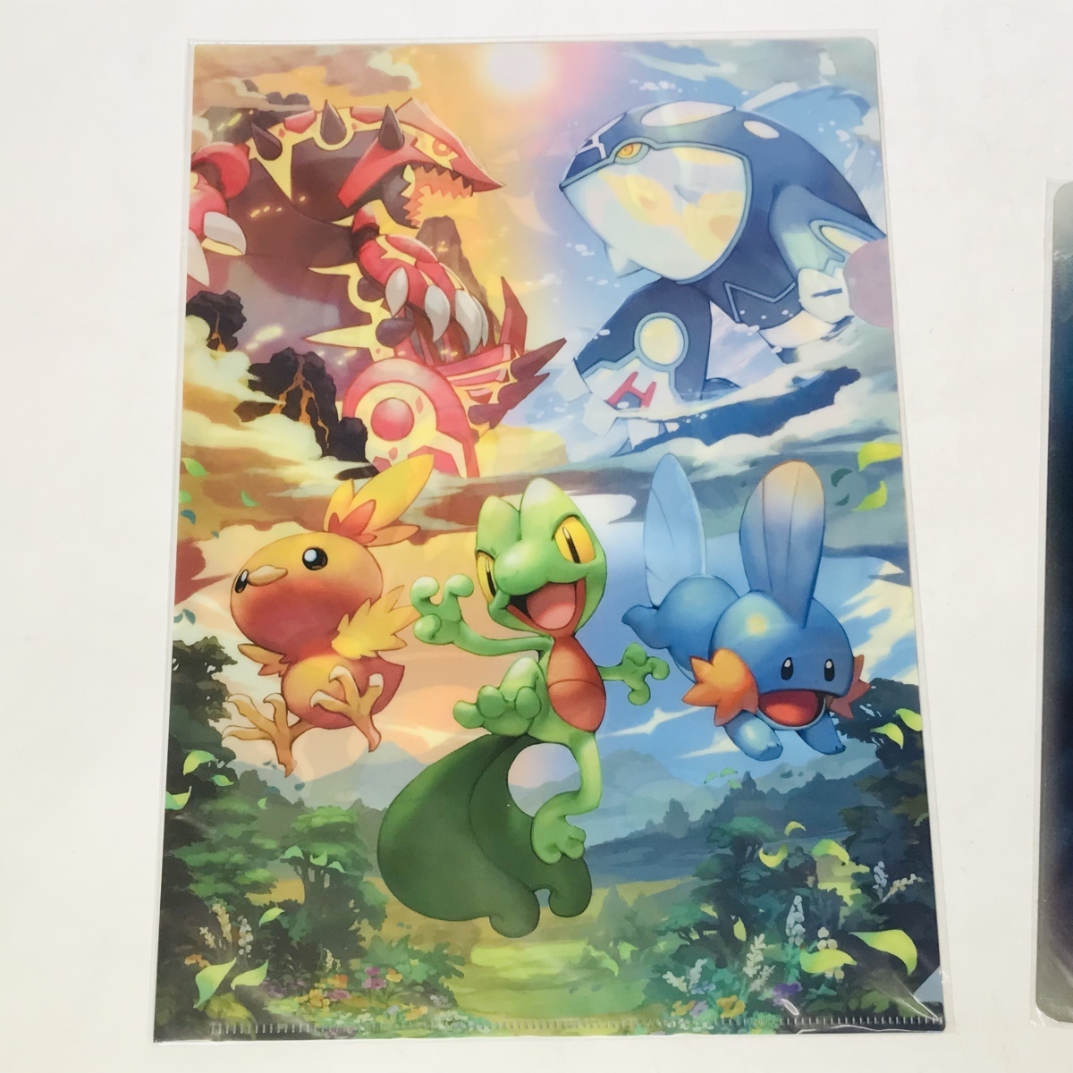新品未開封 ポケットモンスター オメガルビー 4個セット 【1903】 新品