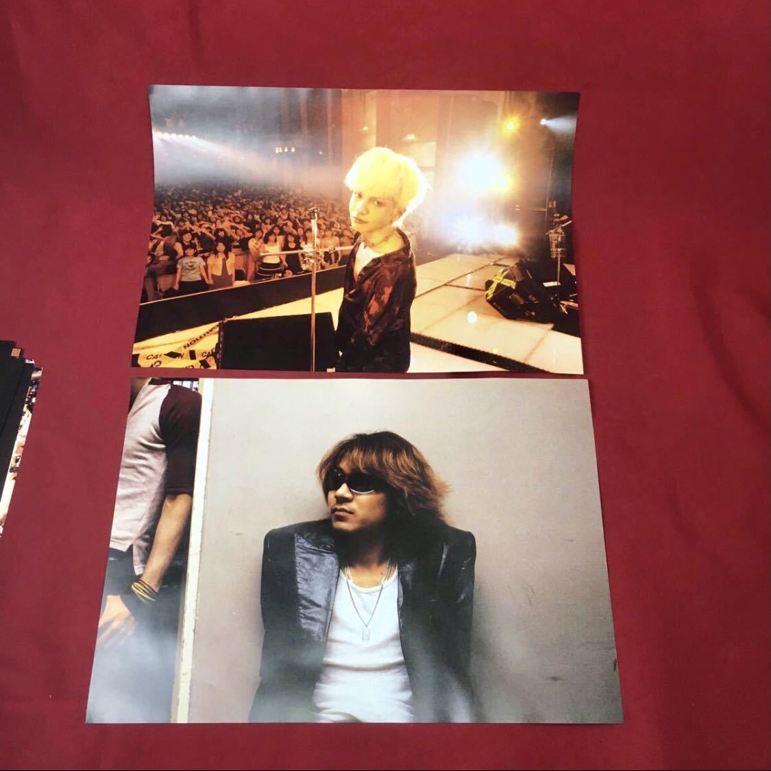 LIGHT MY FIRE L'Arc-en-Ciel フォトパネル 50シート LIGHT MY FIRE L