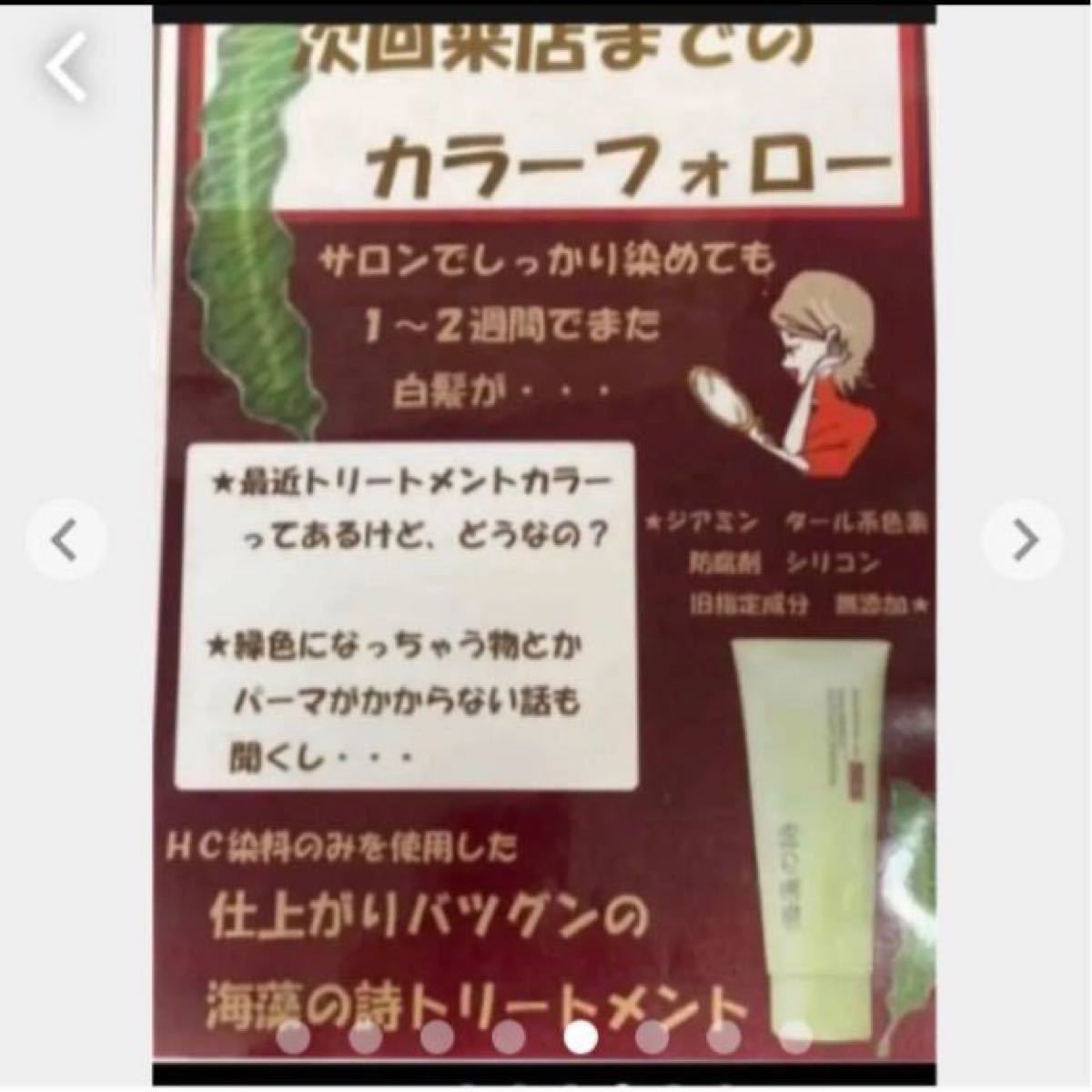 海藻の詩 チョコレートブラウン200gカラートリートメント×2 個セット