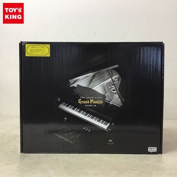 Grand Pianist ピアノコンサートプレイヤー Grand Pianist ピアノ
