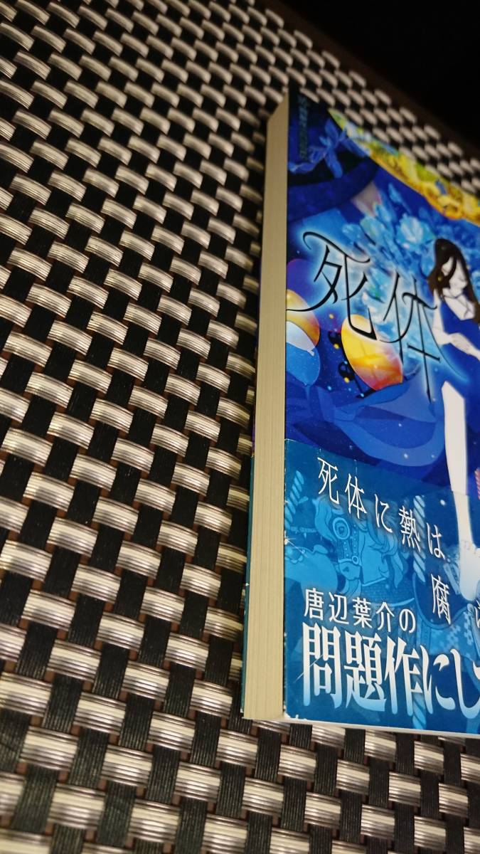 死体泥棒 唐辺葉介 星海社fictions Amazon.co.jp: 死体泥棒 (星海社