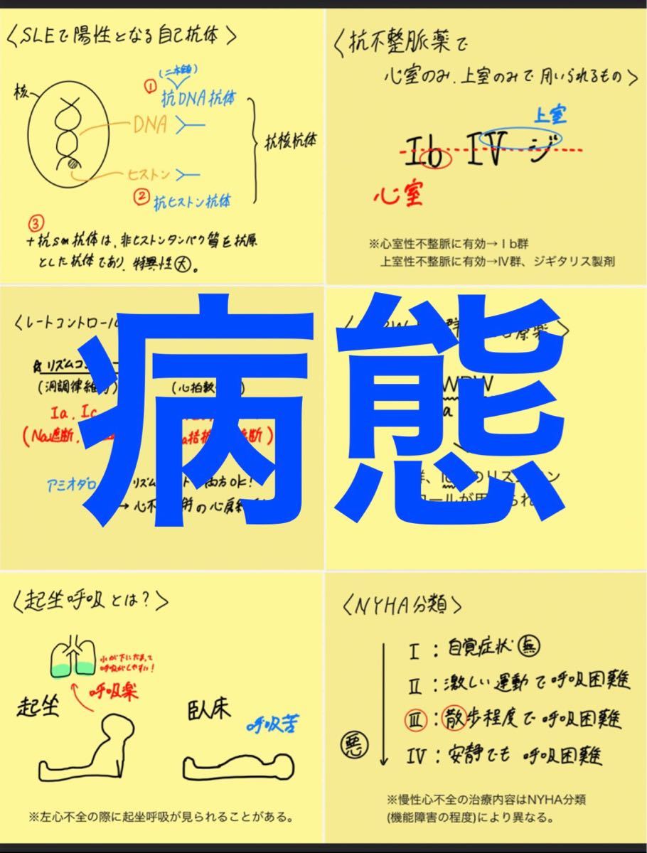コアカリ青本薬学ゴロ