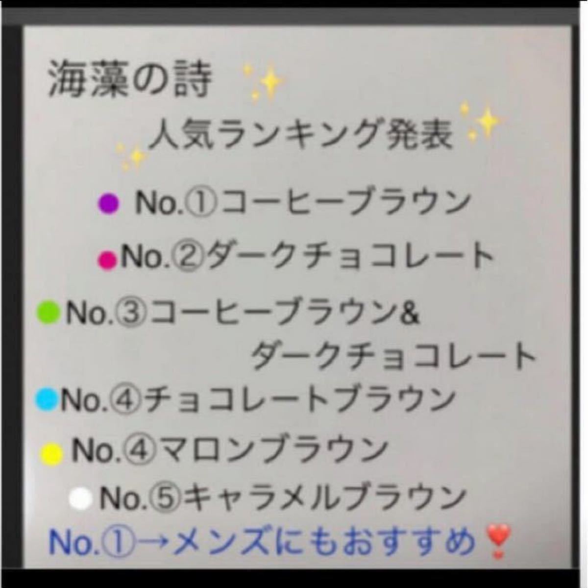 海藻の詩 チョコレートブラウン200gカラートリートメント×2 個セット