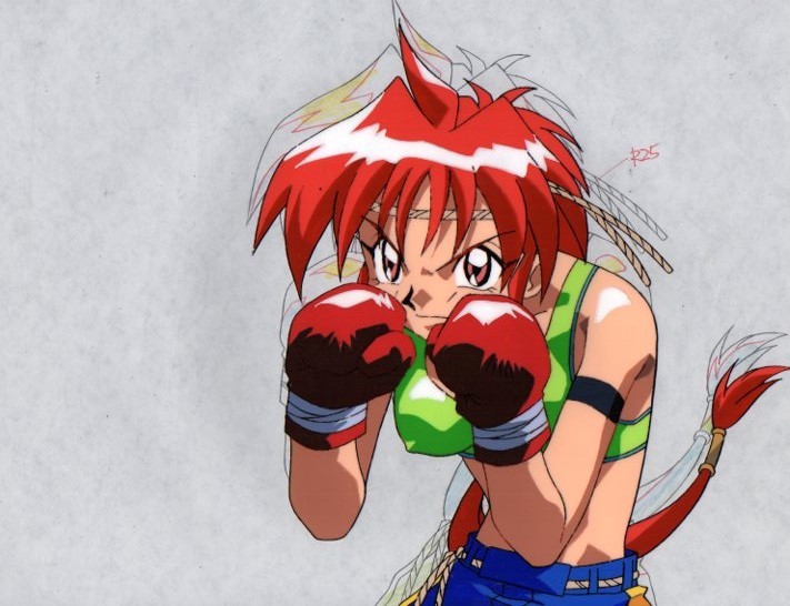 Yahoo!オークション - 綾音ちゃんハイキック ・セル画2点セット⑤・