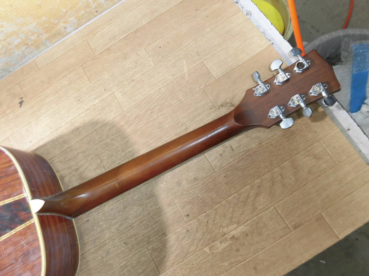 J-50モデル ラウンドショルダー Pearl パールTF-145 ヴィンテージ J-50