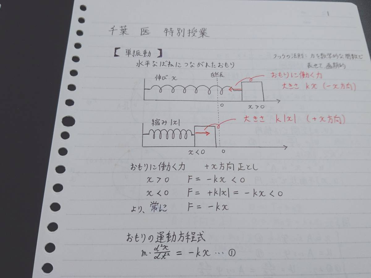 駿台 山本義隆先生 千葉大医学部医学科 特別授業 テキスト・板書 東大