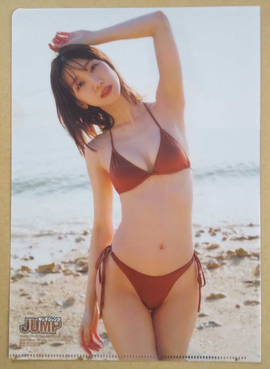 Yahoo!オークション - 柏木由紀 クリアファイル