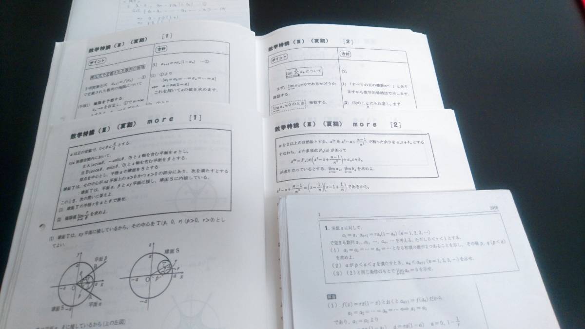 駿台 吉田浩二・井辺卓也先生 18年夏期 数学特講Ⅲ 講義解説プリント