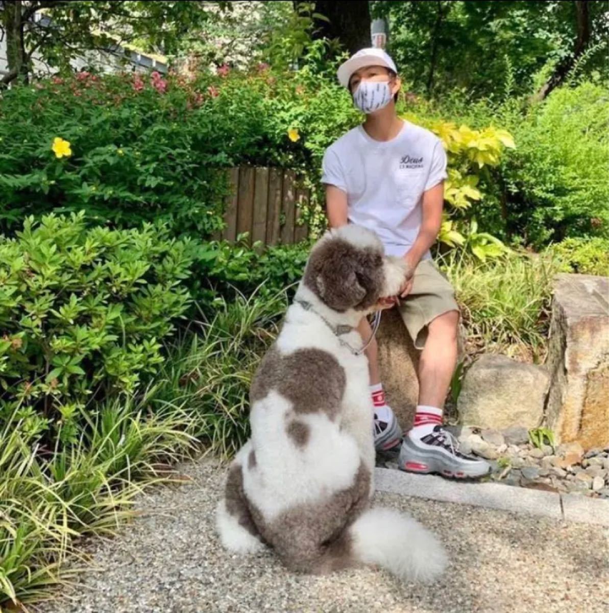 スタンダードカリフォルニア ソックス 靴下 キムタク ロンハーマン