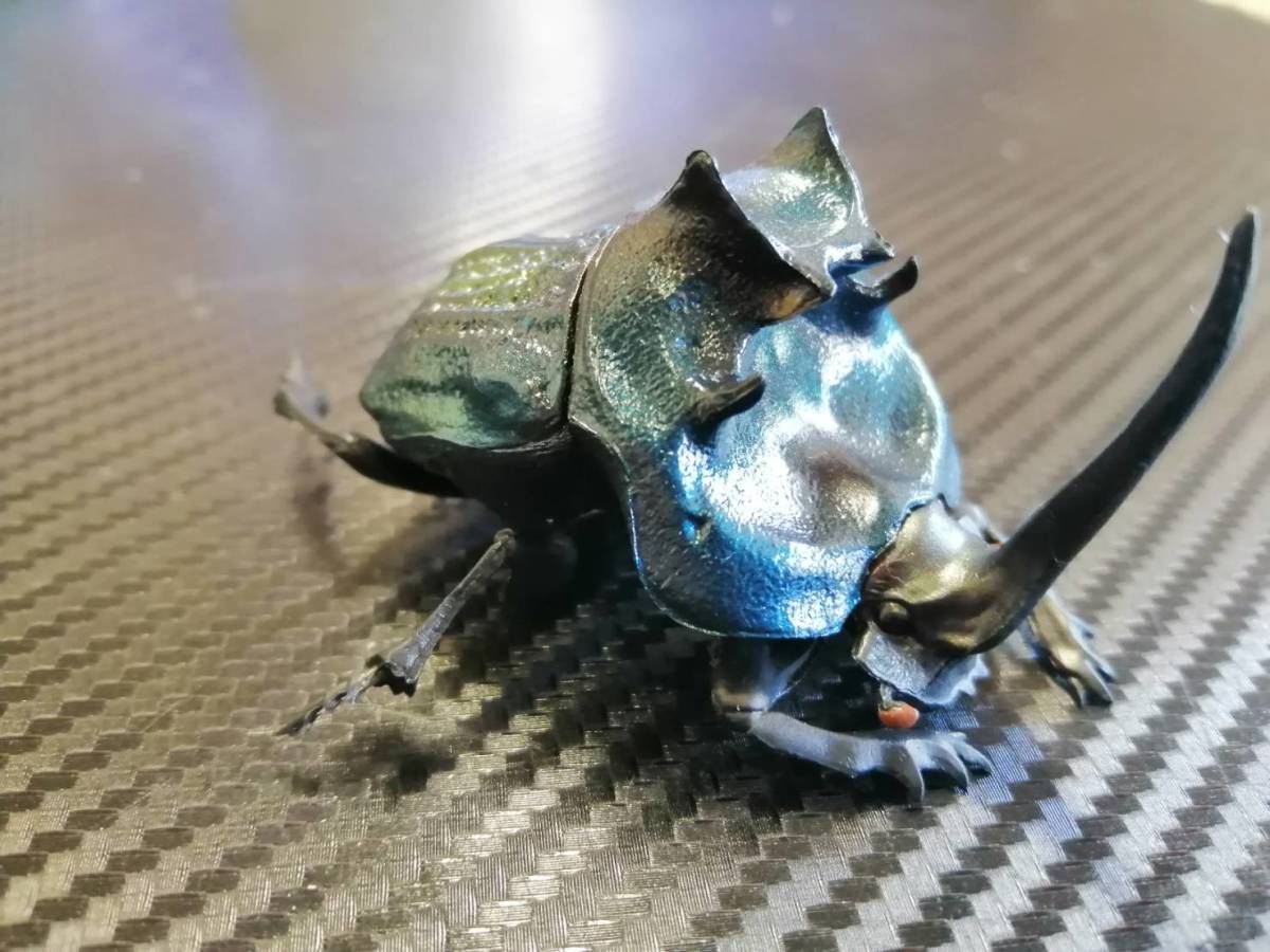 Yahoo!オークション - エンシフェルオオニジダイコクコガネ （紺） SO-