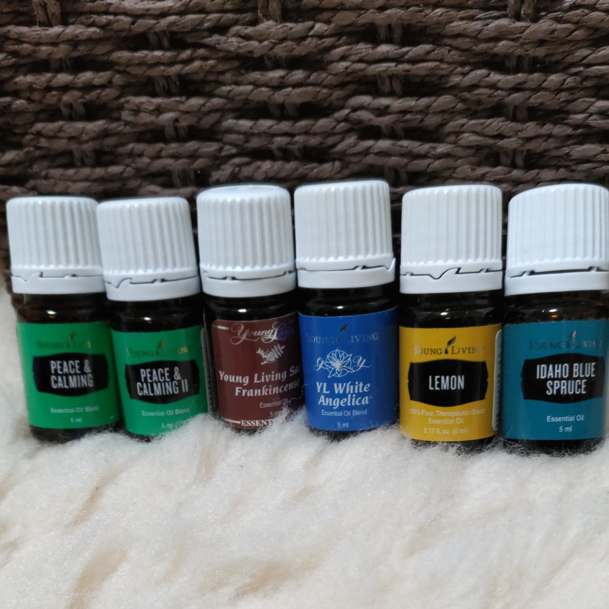 ヤングリヴィング／ワイエルジョイ／15ml／リビング／モテオイル