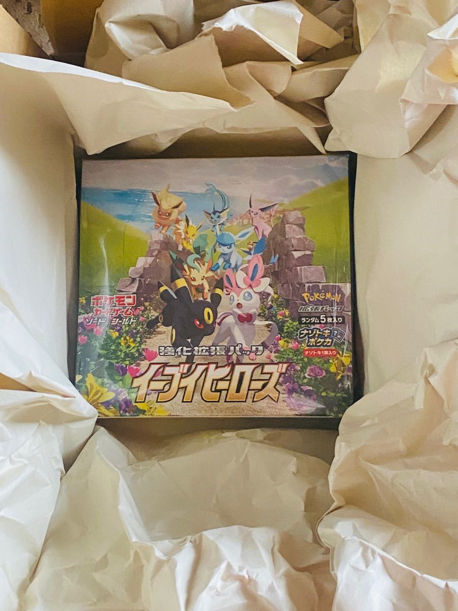 ポケモンセンターオンライン抽選 当選品 (新品未開封)イーブイ