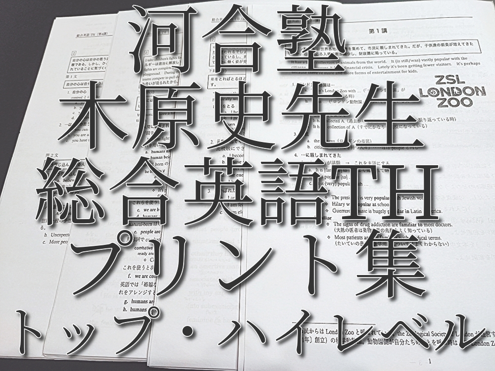 河合塾 木原史先生 総合英語TH 授業プリント集 駿台 鉄緑会 SEG 東進