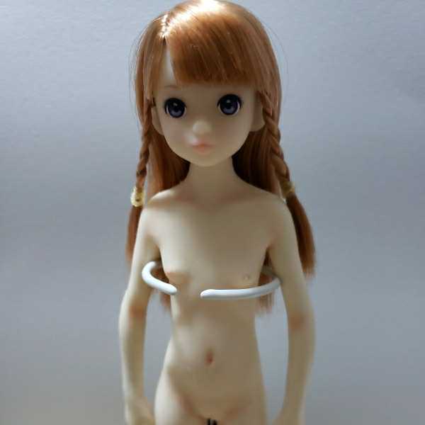 要点チェック問題集 1-4セット2026徳島文理小学校 定価20,880円 要点