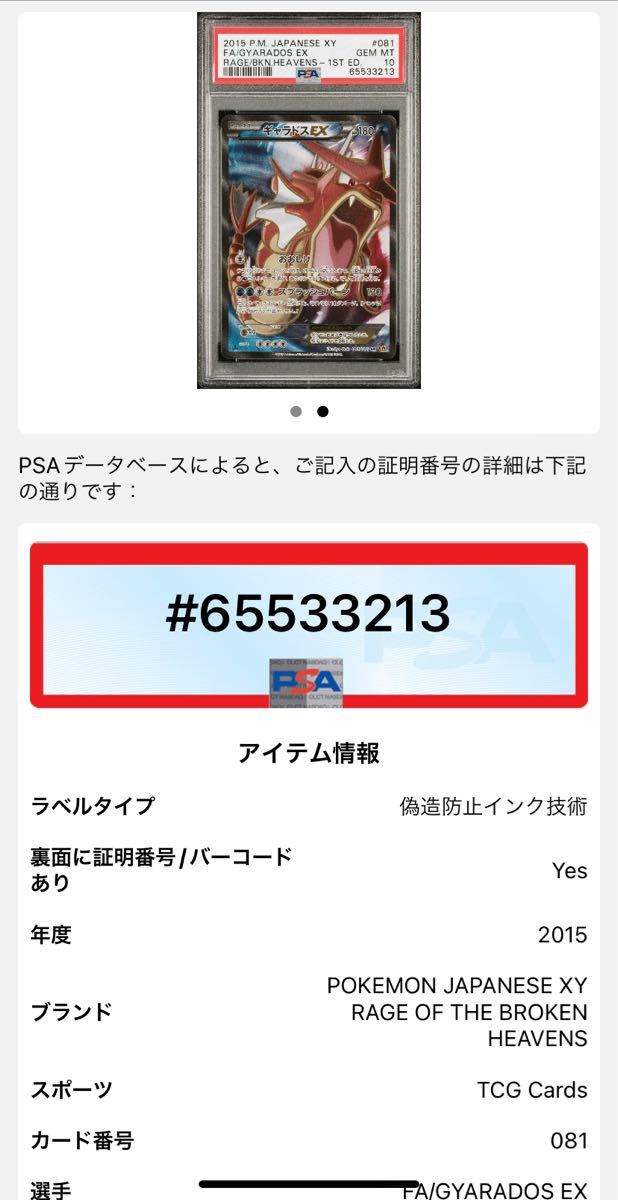 PSA 10 鑑定品 ポケモンカード 2015年 ギャラドスEX 破天の怒り 081