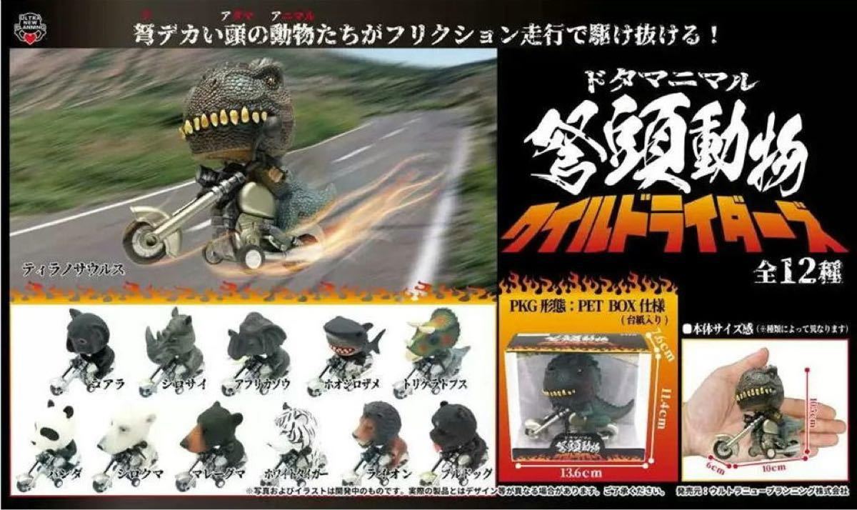 ドタマニマル ワイルドライダーズ 12種コンプリートセット｜Yahoo
