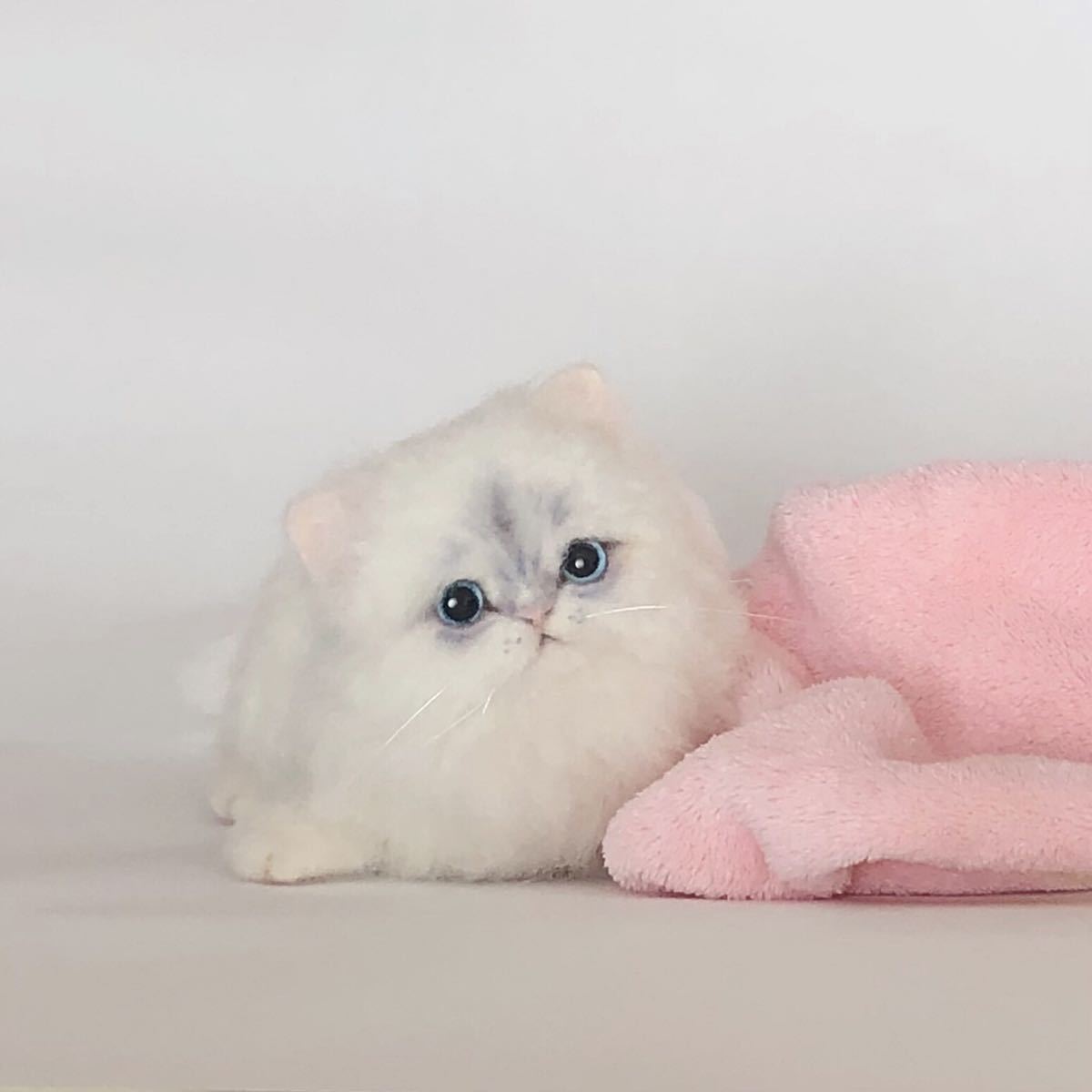 Yahoo!オークション - nenneco. チンチラシルバー 子猫 羊毛フェルト