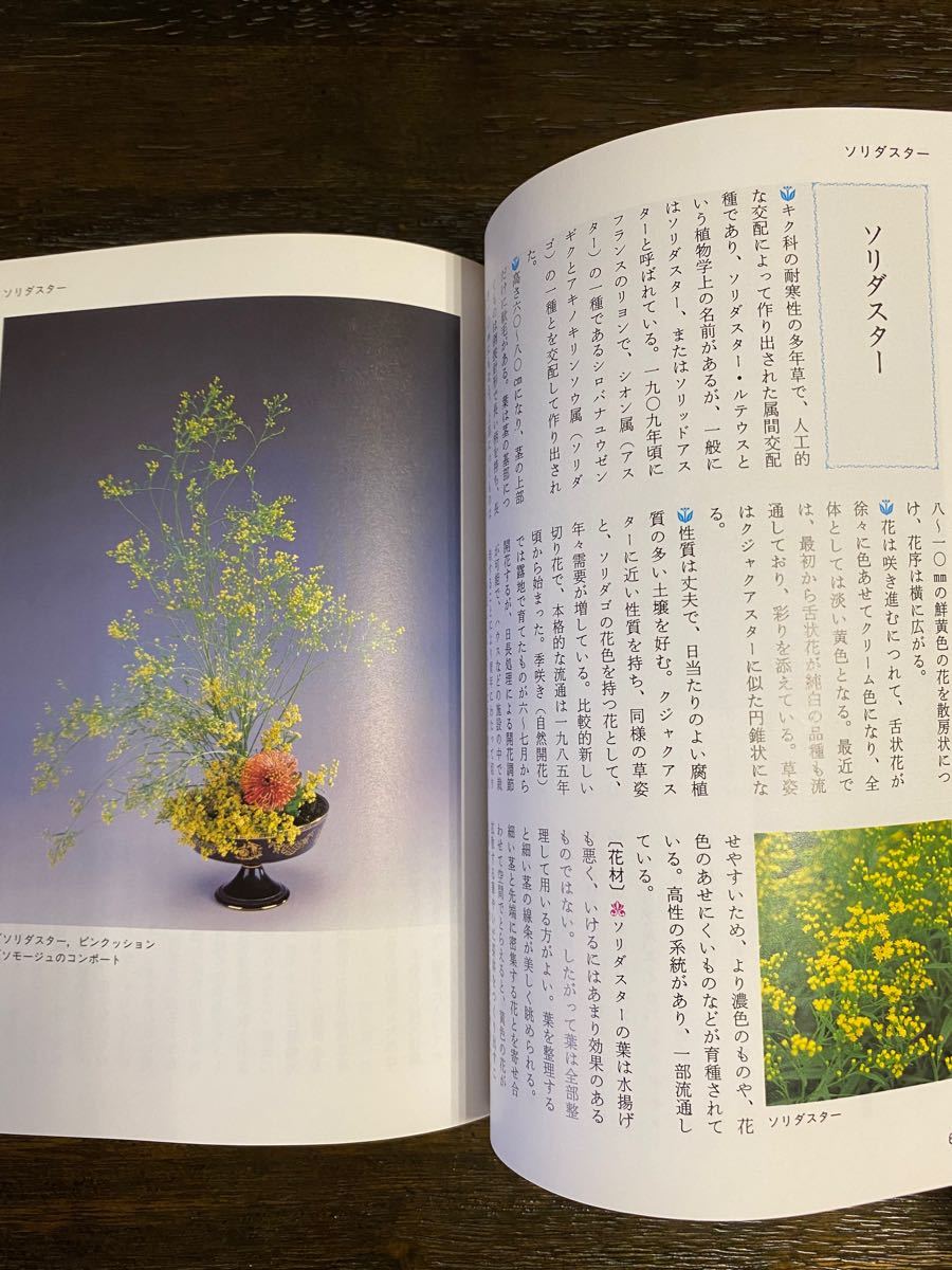 小原流 本 工藤和彦 いけばな 生花 【週末お値引】小原流 教本 工藤和彦