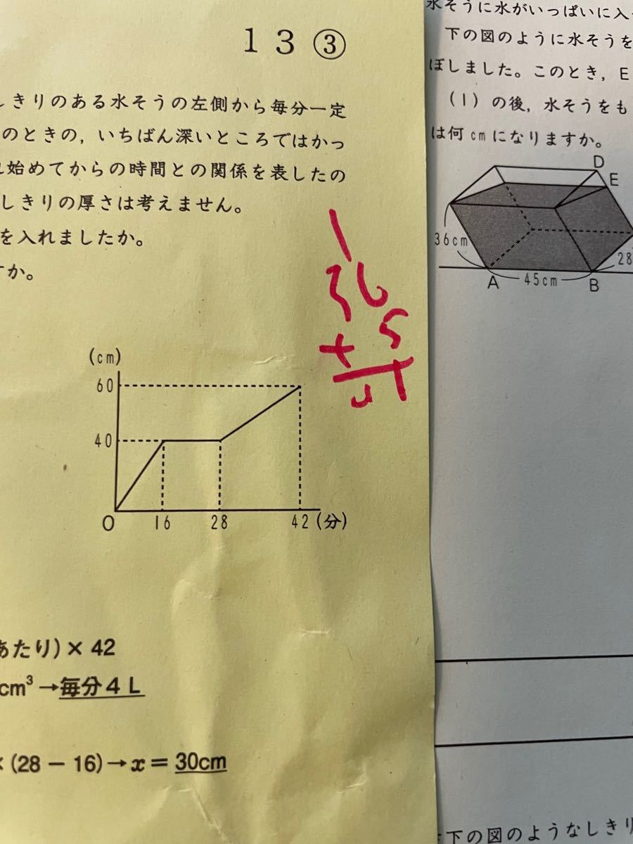 SAPIX 5年生 全37回 算数 基礎力定着テスト 算数デイリーチェック