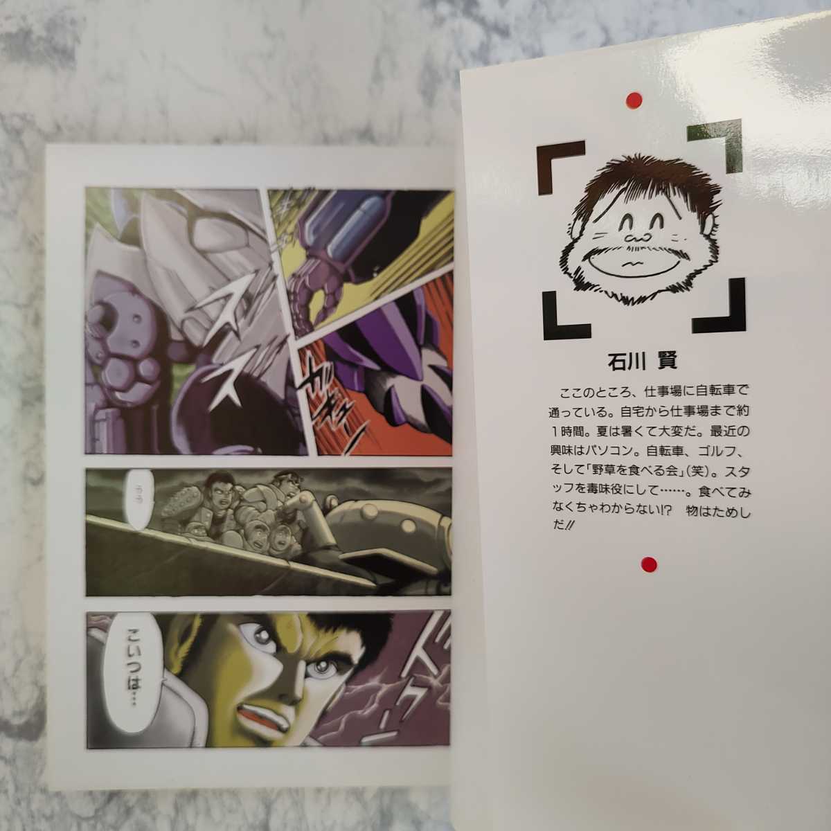 広告チラシ付】 セイテン大戦 フリーダーバグ 全2巻セット 石川賢