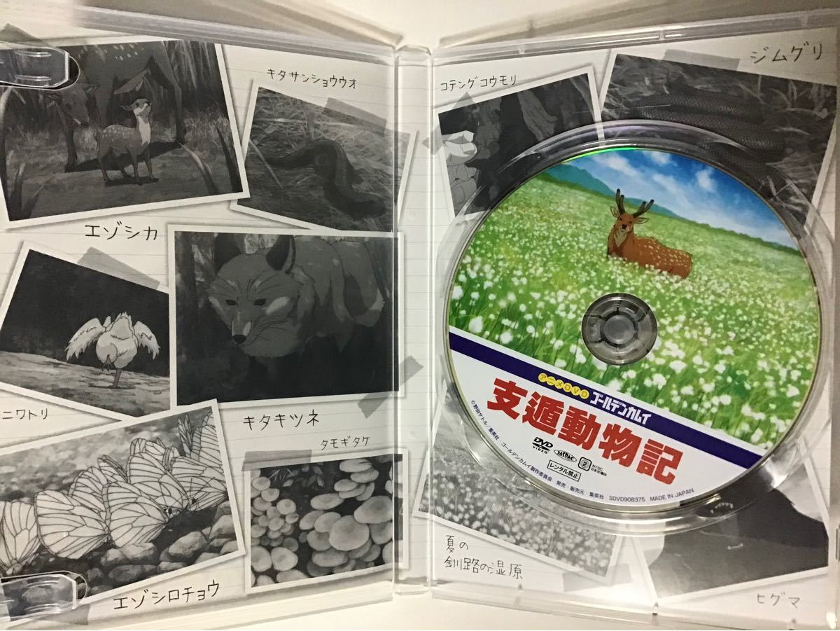 ゴールデンカムイ23巻 アニメDVD 支遁動物記｜Yahoo!フリマ（旧PayPay