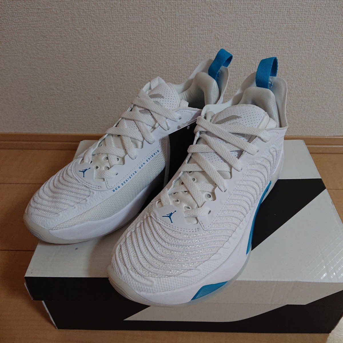 Nike Jordan Luka 1 PF ルカ1 ネオターコイズ｜Yahoo!フリマ（旧PayPay