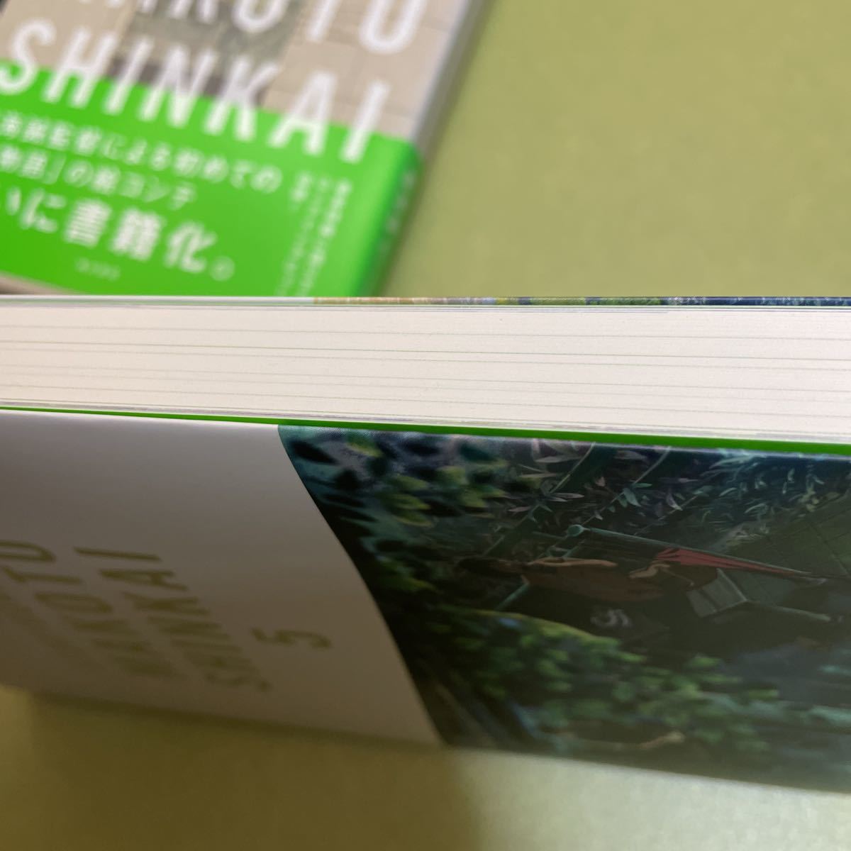 言の葉の庭 新海誠絵コンテ集 5｜Yahoo!フリマ（旧PayPayフリマ）