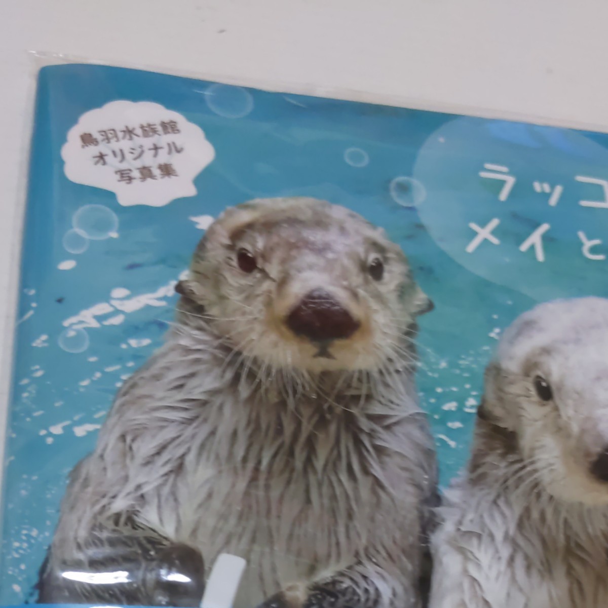 ラッコのメイとキラ 鳥羽水族館 オリジナル 写真集 新品未開封｜Yahoo