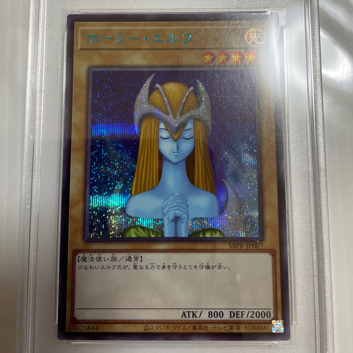 PSA10 ホーリーエルフ ブルシク ブルーシークレット 遊戯王 jp007