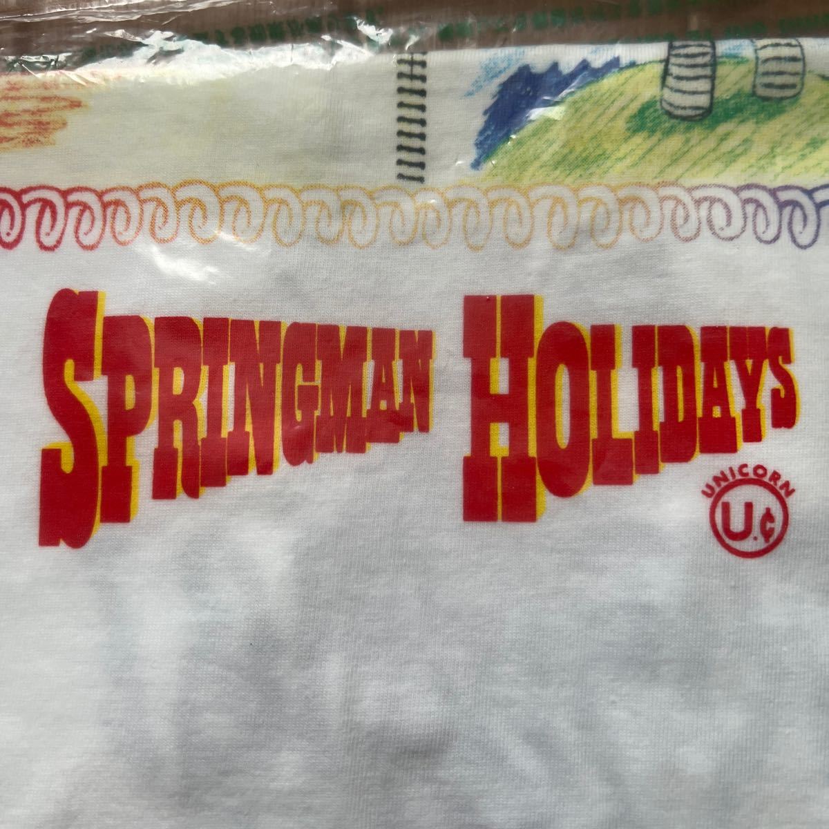値下げ！ユニコーン 奥田民生 スプリングマン Tシャツ 1993年