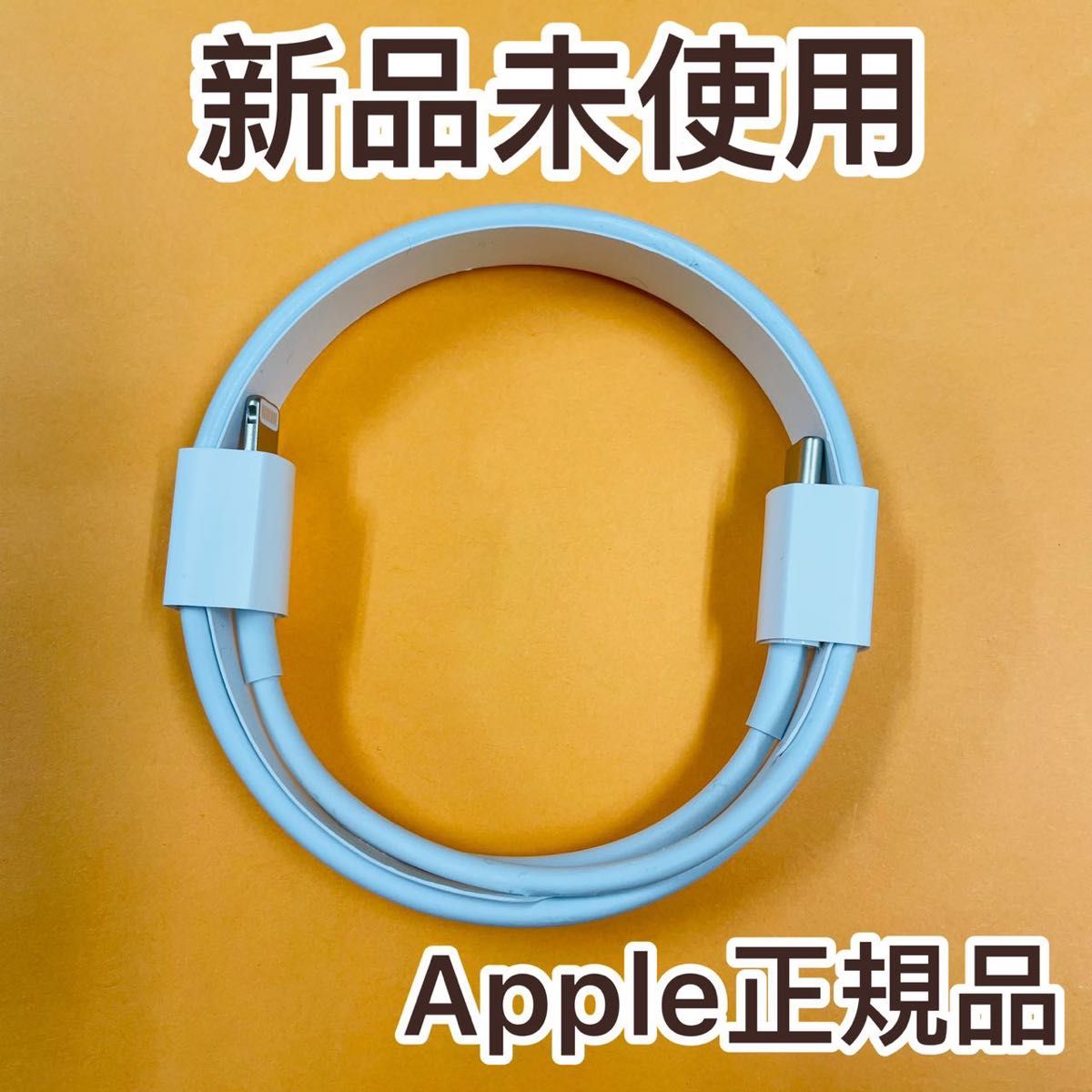 Apple AirPods Pro 第一世代 Lightning 付属品 iPhone 充電コード