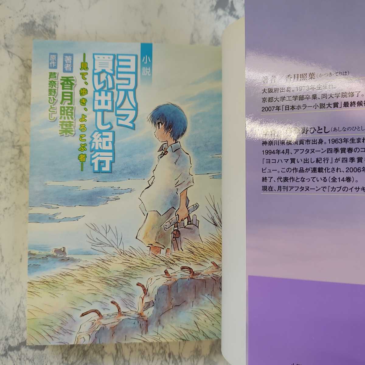 帯付き】 小説 ヨコハマ買い出し紀行 見て 歩き よろこぶ者 芦奈野
