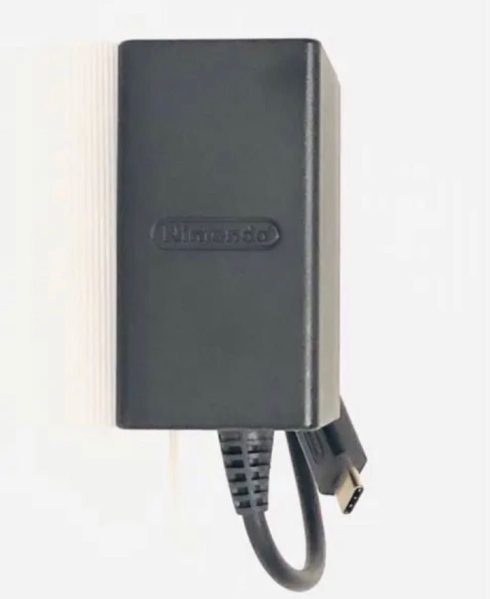 Nintendo 任天堂 SWITCH LITE ニンテンドー スイッチライト AC