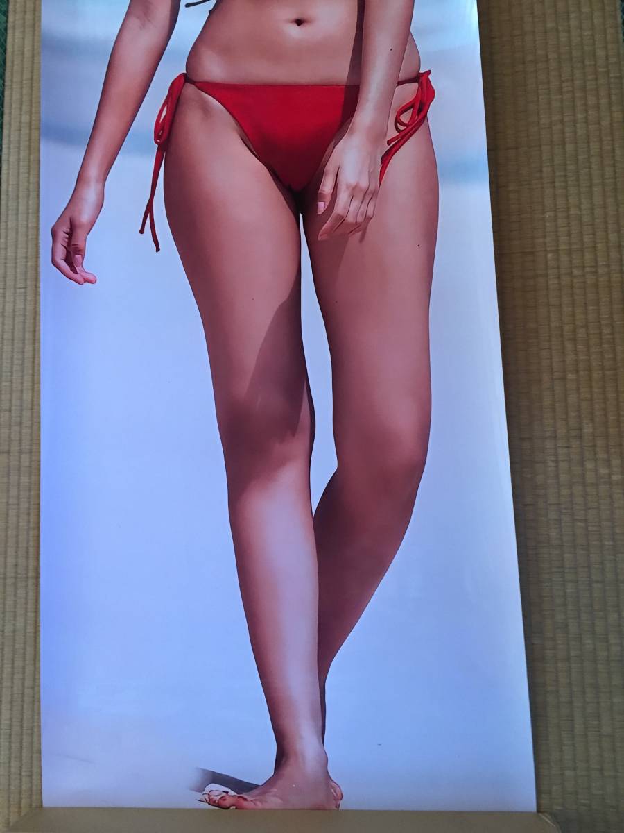 Yahoo!オークション - 佐野ひなこ 等身大ポスター 赤いビキニ姿で挑発