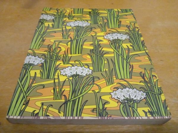 直野祥子集☆ブロンズ社 直野祥子集☆ブロンズ社 直野祥子集☆ブロンズ社