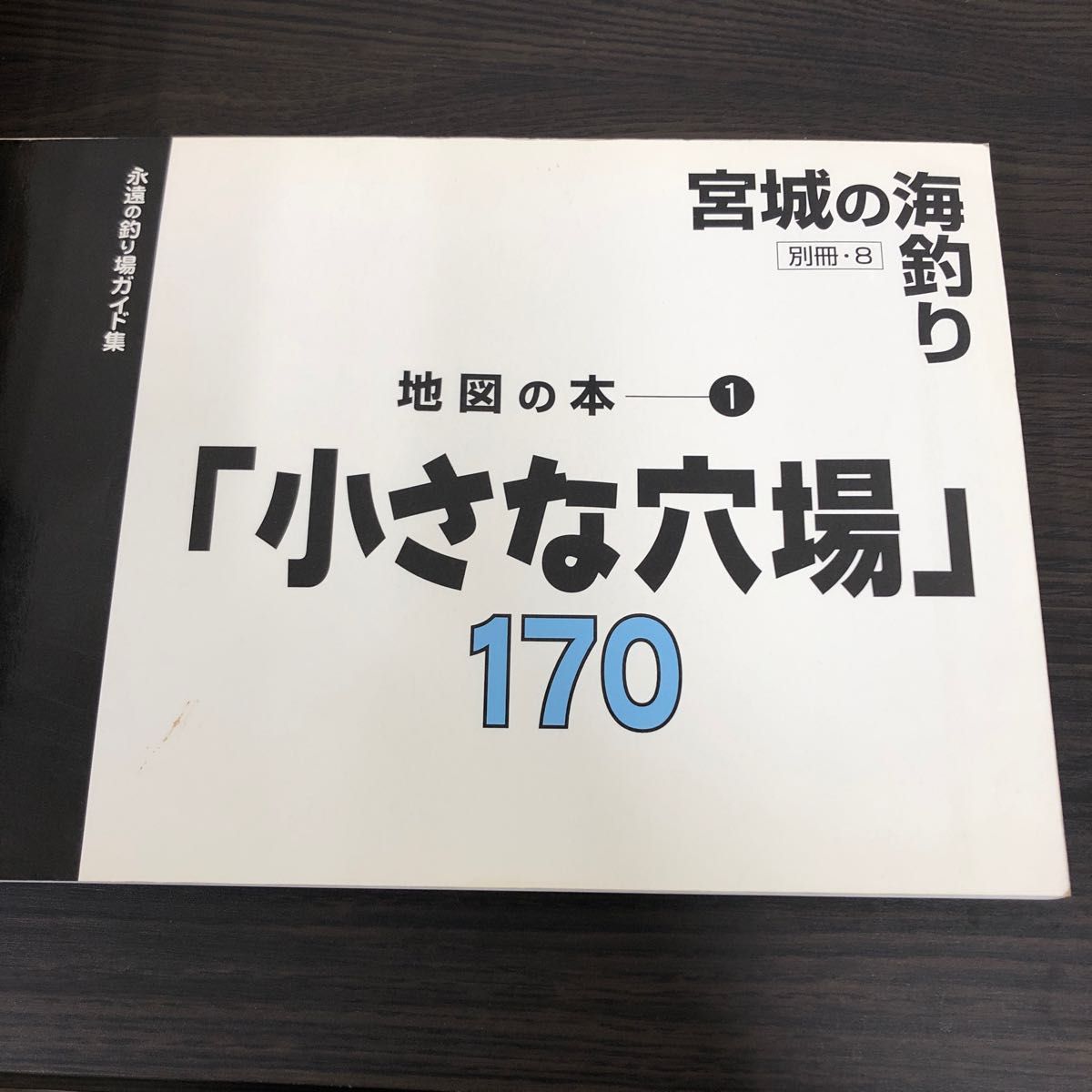 宮城の海釣り 小さな穴場170｜Yahoo!フリマ（旧PayPayフリマ）