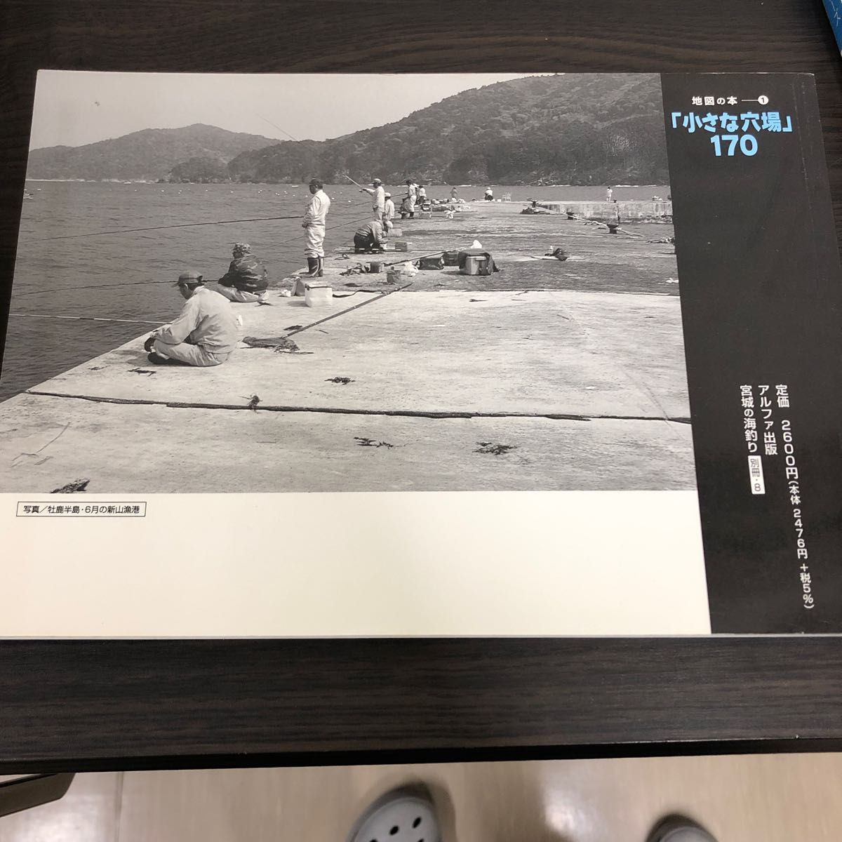 宮城の海釣り 小さな穴場170｜Yahoo!フリマ（旧PayPayフリマ）