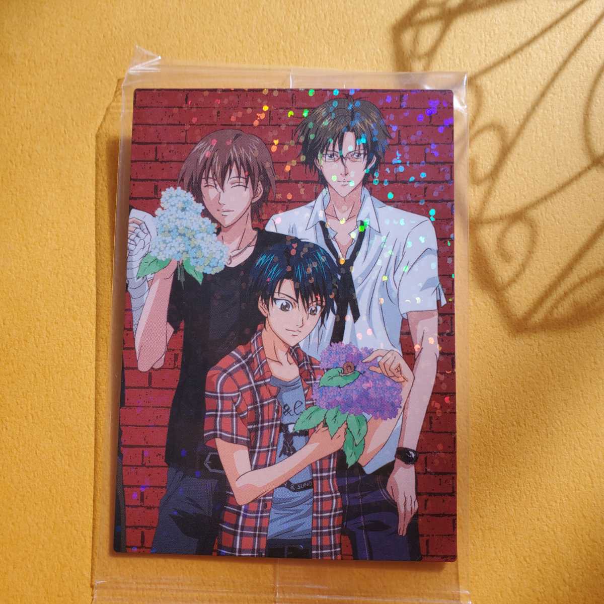 手塚国光 不二周助 越前リョーマ ボックス特典 テニスの王子様