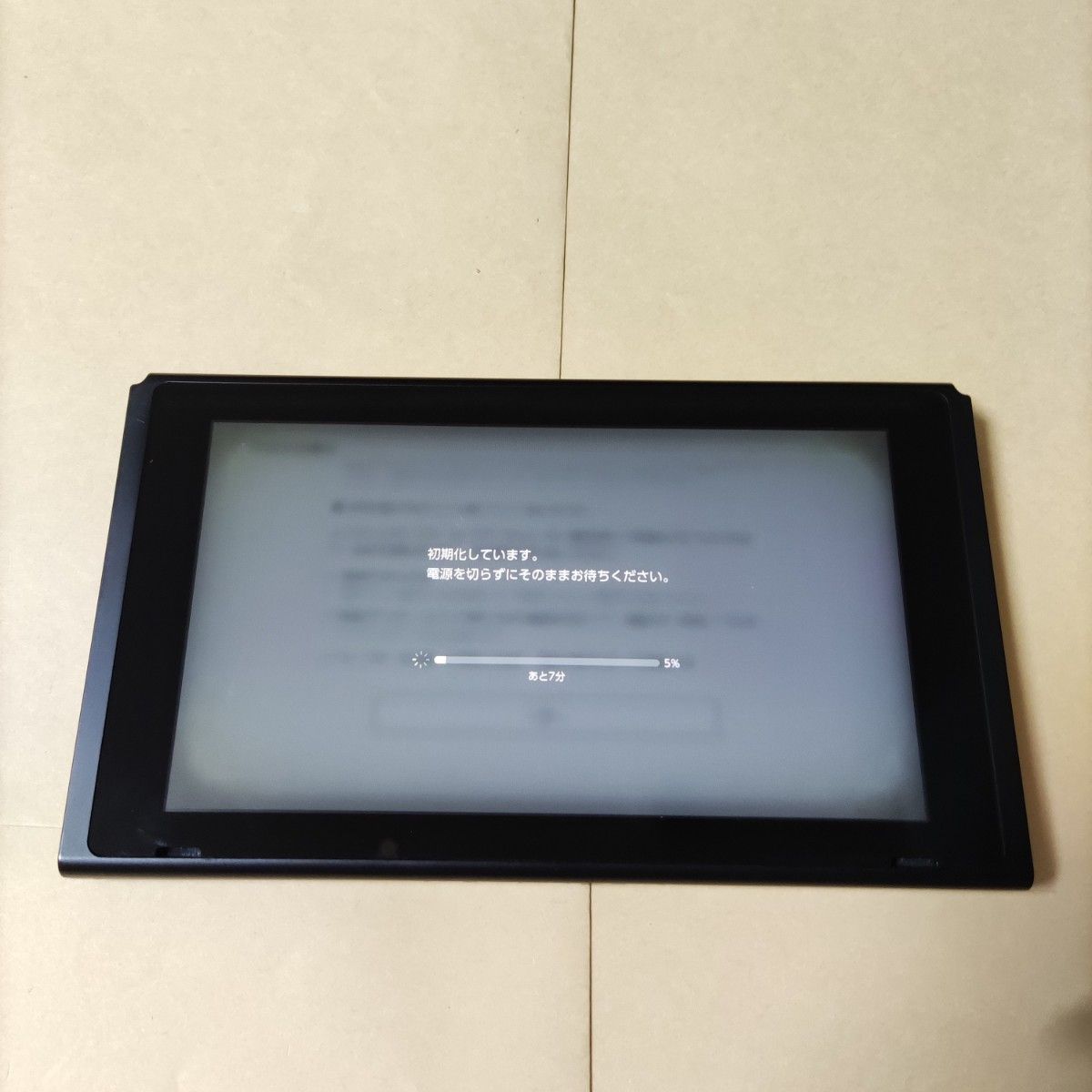 新型 ニンテンドースイッチ 2019年製 液晶版 本体のみ Switch 画面焼け