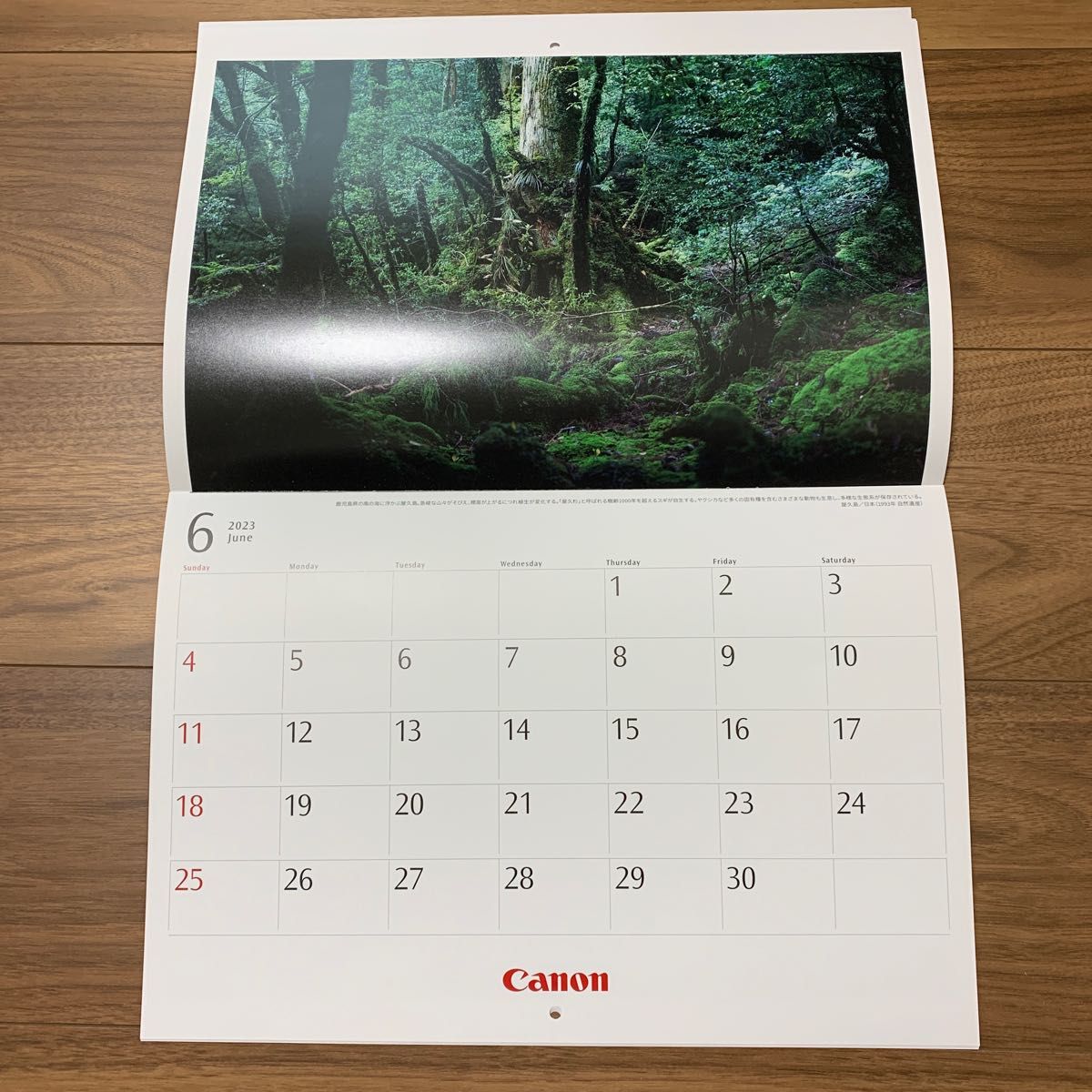 2023年 Canonキャノン 壁掛けカレンダー 世界遺産カレンダー｜Yahoo