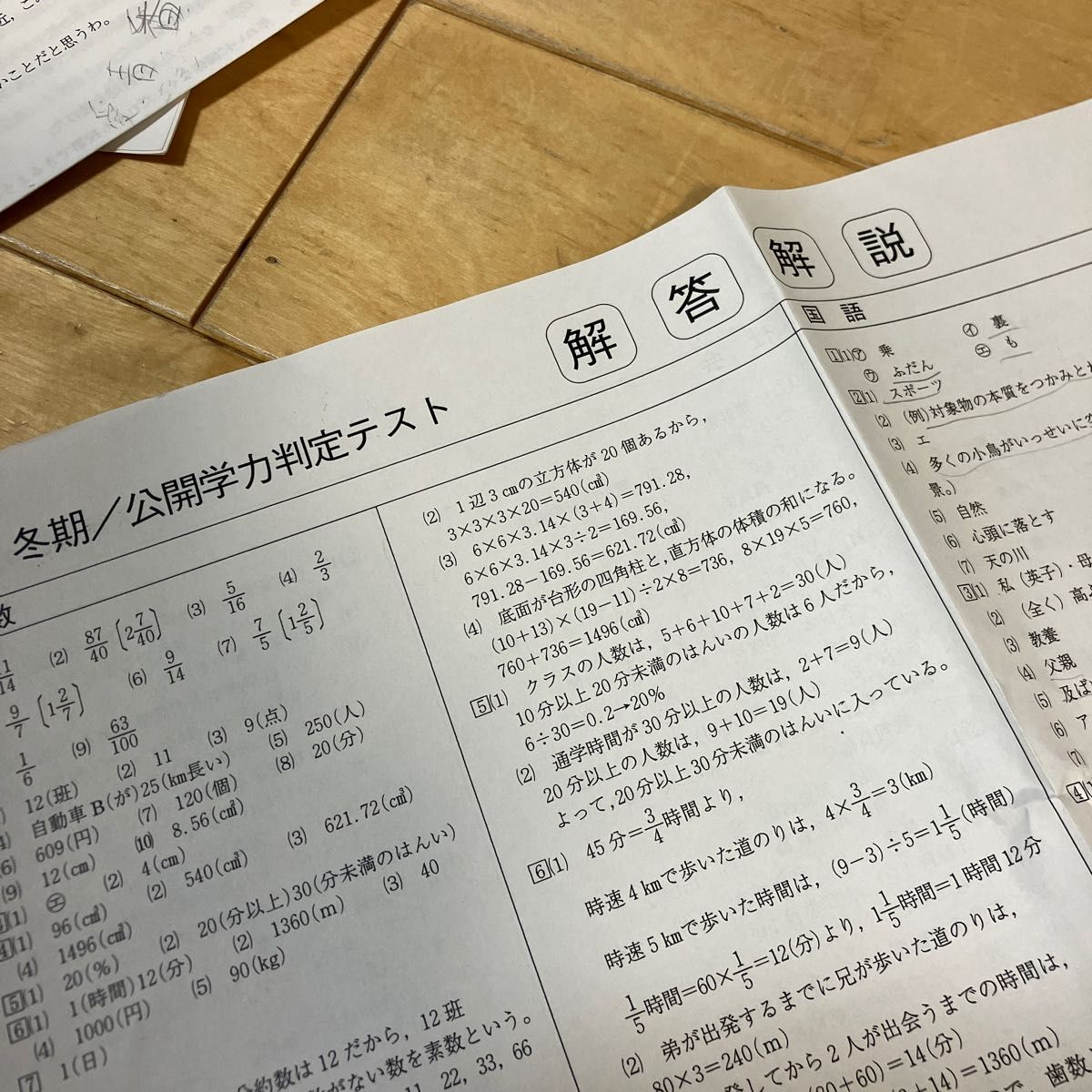 小学校 6年 冬期公開学力判定テスト 国語 理解 社会 3教科 能力開発